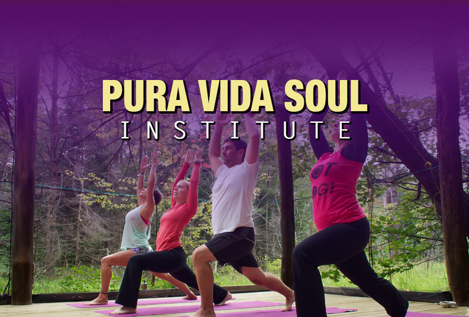 Pura Vida Soul Institute | In-Home Yoga & Meditation Services | Yoga ...